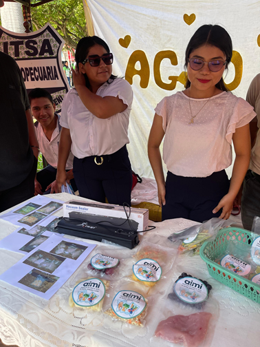 Proyecto 4