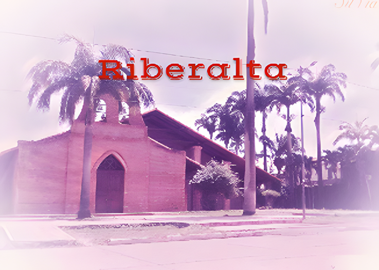 Contaduría Pública